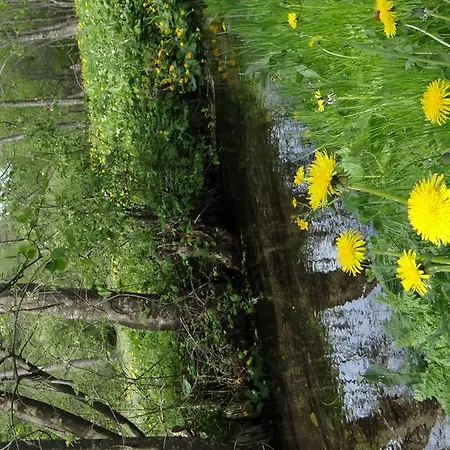 Chata Pila * Hrabušice